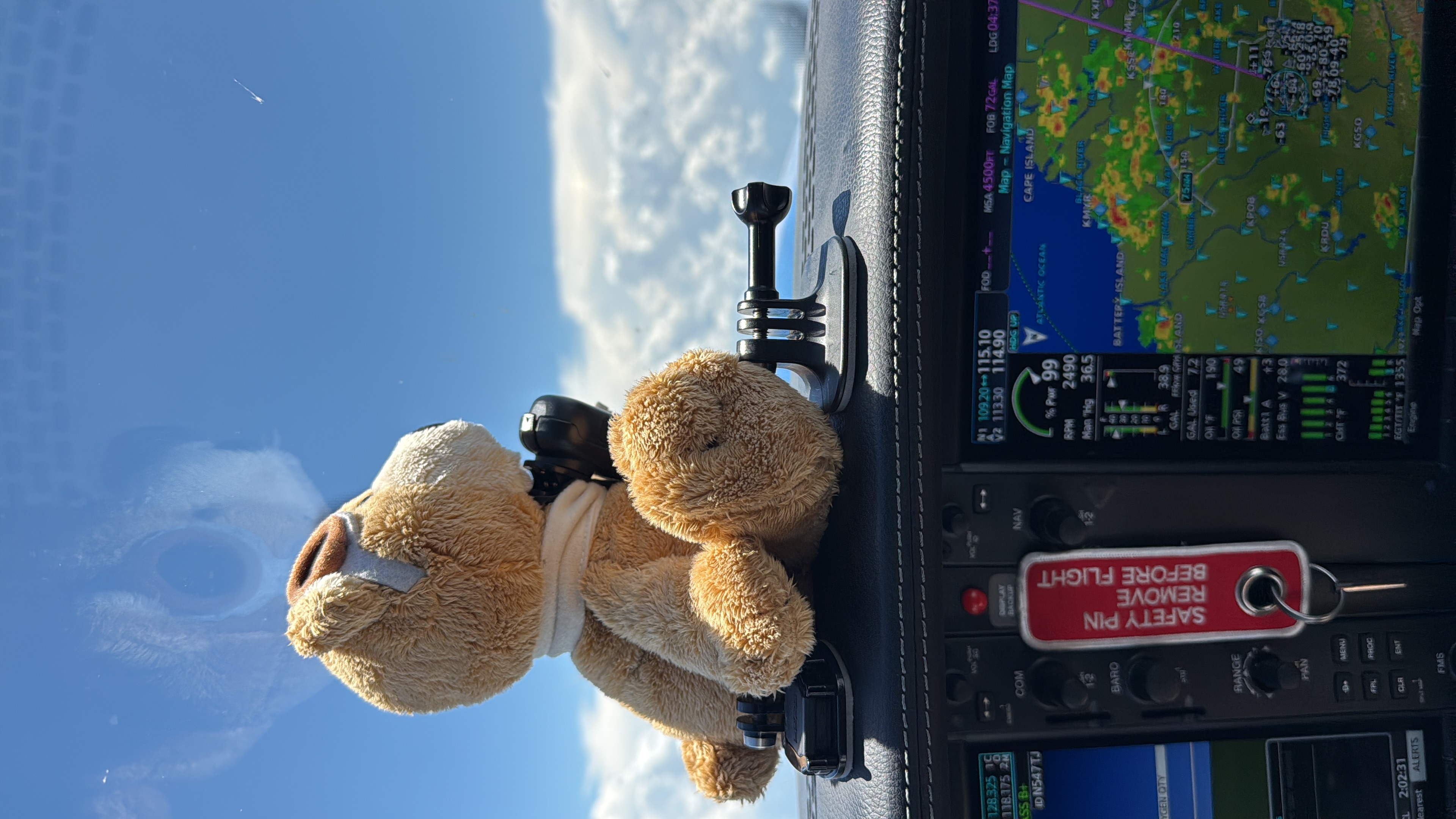 Baloo had an interesting journey dodging thunderstorms from NC to FL