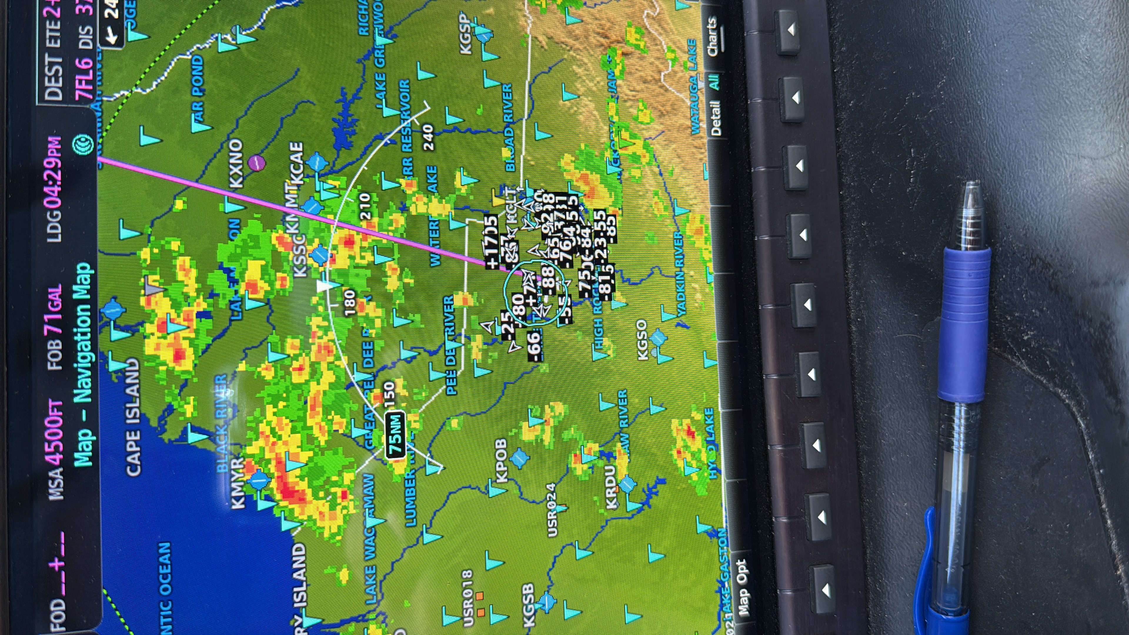 Baloo had an interesting journey dodging thunderstorms from NC to FL